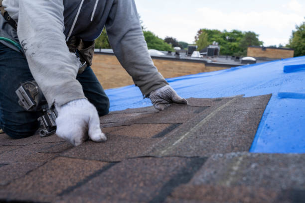 Best Residential Roofing Contractor  in West Hamburg, PA