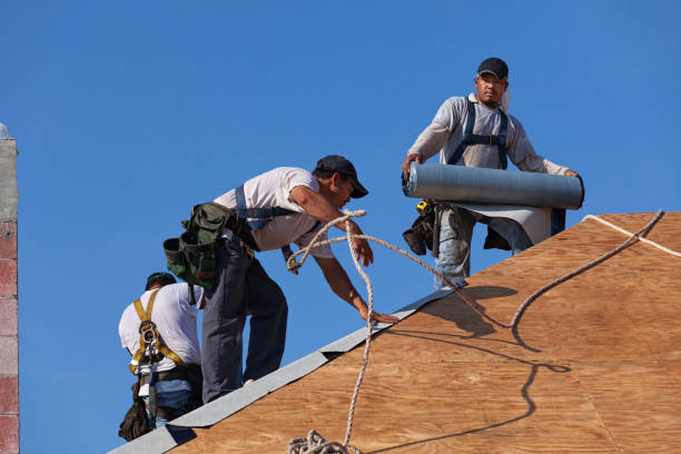 Best Storm Damage Roof Repair  in West Hamburg, PA